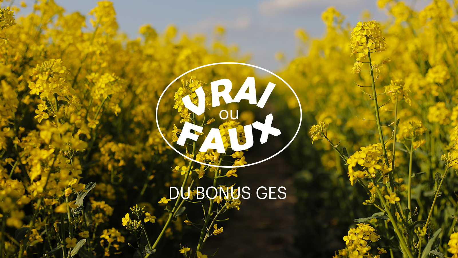 Vrai-faux du bonus GES sur OleoZE