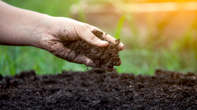 Pratiques agricoles durables